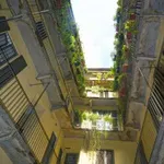 Rent 2 bedroom apartment of 80 m² in Milan