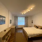 Pronajměte si 3 ložnic/e byt o rozloze 102 m² v Prague