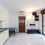 Rent 1 bedroom apartment of 38 m² in Lesmo