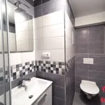 Rent 2 bedroom apartment of 41 m² in Králíky