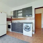 Rent 1 bedroom apartment in Sokolov