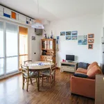 Rent 1 bedroom apartment of 45 m² in bologna