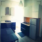 Rent 1 bedroom apartment of 40 m² in Roma