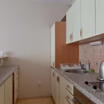 Pronajměte si 1 ložnic/e byt o rozloze 35 m² v Prague