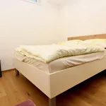 Rent 1 bedroom apartment of 35 m² in Vienna