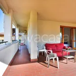 Rent 2 bedroom apartment of 45 m² in Bologna