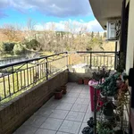 Rent 3 bedroom apartment of 60 m² in Teramo