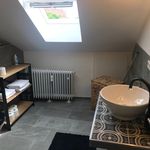 Rent 1 bedroom apartment of 30 m² in Braunschweig