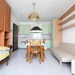 Rent 1 bedroom apartment of 36 m² in Lodi