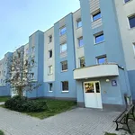 Rent 2 bedroom apartment of 50 m² in Olsztyn