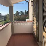 Rent 3 bedroom apartment of 82 m² in Grosseto