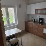 Rent 1 bedroom apartment of 29 m² in Gliwice