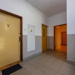 Rent 2 bedroom apartment of 63 m² in Praha 6 - Střešovice