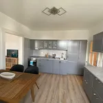 Pronajměte si 3 ložnic/e byt o rozloze 102 m² v Prague