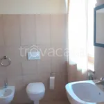 Rent 2 bedroom apartment of 45 m² in Travo