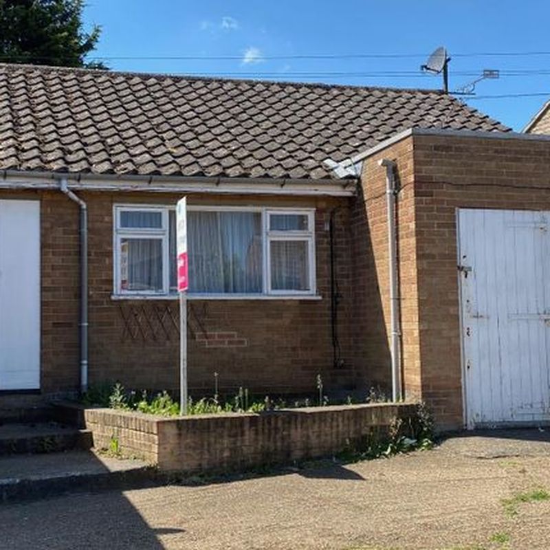 Bungalow to rent in Wisbech Road, Littleport, Ely CB6