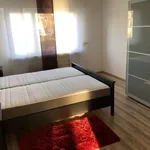 Rent 1 bedroom apartment in stuttgart