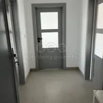 Rent 2 bedroom apartment of 58 m² in Benátky nad Jizerou