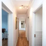 Rent 1 bedroom apartment in dublin