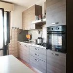 Rent 3 bedroom apartment of 180 m² in Colorno