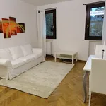 Rent 1 bedroom apartment of 45 m² in Padova