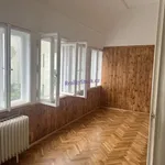 Rent 4 bedroom apartment of 131 m² in Praha