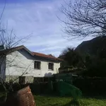 Rent 1 bedroom house in Asturias']