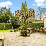 Rent 6 bedroom house of 150 m² in Aerdenhout-Centrum