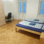 Pronajměte si pokoj o rozloze 117 m² v Prague