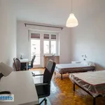 Rent 3 bedroom apartment of 80 m² in Turin