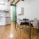 Rent 2 bedroom apartment of 50 m² in Milan