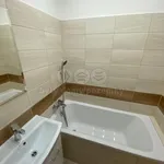 Rent 2 bedroom apartment of 55 m² in Ostrava