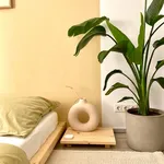 Rent 1 bedroom apartment of 43 m² in Berlin