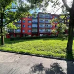 Rent 1 bedroom apartment in Karviná