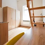 Rent 1 bedroom apartment in Brno