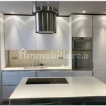 Rent 5 bedroom apartment of 200 m² in Turin