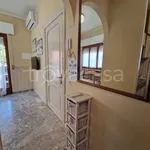 Rent 2 bedroom apartment of 45 m² in Montegranaro