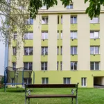 Rent 1 bedroom apartment of 135 m² in Brno