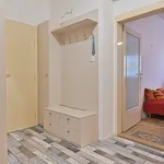 Pronajměte si 1 ložnic/e byt o rozloze 55 m² v Brno