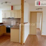 Rent 3 bedroom apartment of 115 m² in Praha