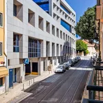 Rent 2 bedroom apartment of 1076 m² in Lisbon