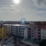 Pronajměte si 3 ložnic/e byt o rozloze 119 m² v Pilsen