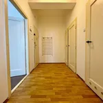 Rent 1 bedroom apartment of 40 m² in Brno