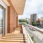 Rent 1 bedroom apartment in barcelona