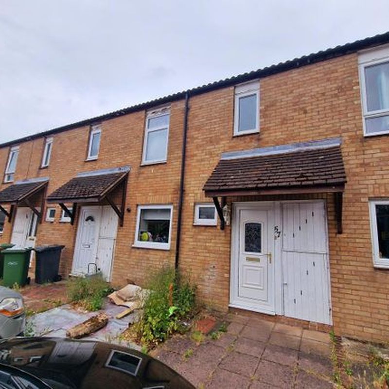 Property to rent in Bringhurst, Orton Goldhay, Peterborough PE2 Orton Brimbles