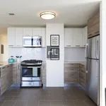 Rent 1 bedroom apartment in NY