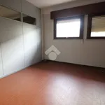 Affitto 3 camera appartamento di 220 m² in Mantova