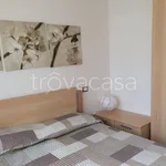 Rent 2 bedroom apartment of 45 m² in Termoli