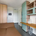 Huur 3 slaapkamer appartement van 91 m² in Morgenstond-West