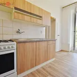 Pronajměte si 2 ložnic/e byt o rozloze 42 m² v Brno-Černovice